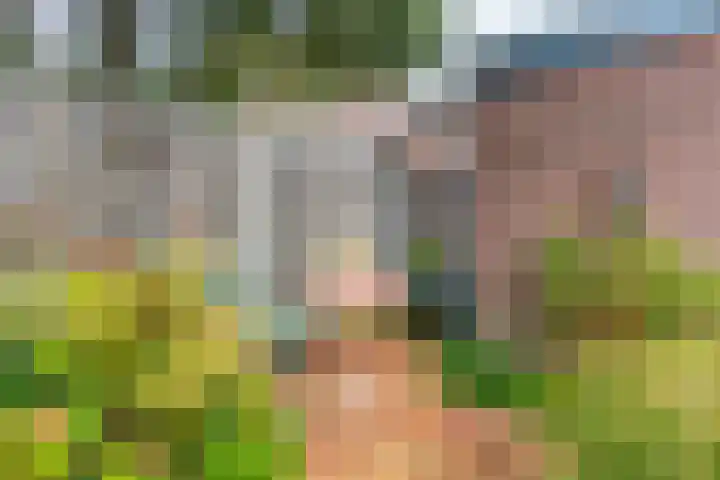 Koperfazant 15 Nieuwegein thumbnail 47