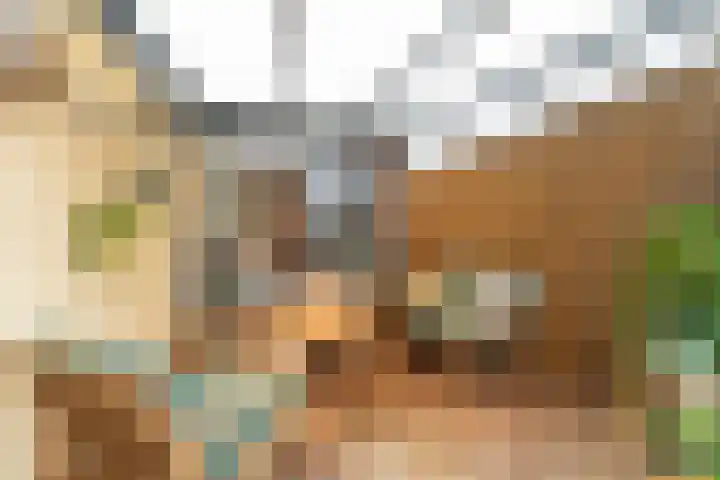 Koperfazant 15 Nieuwegein thumbnail 48