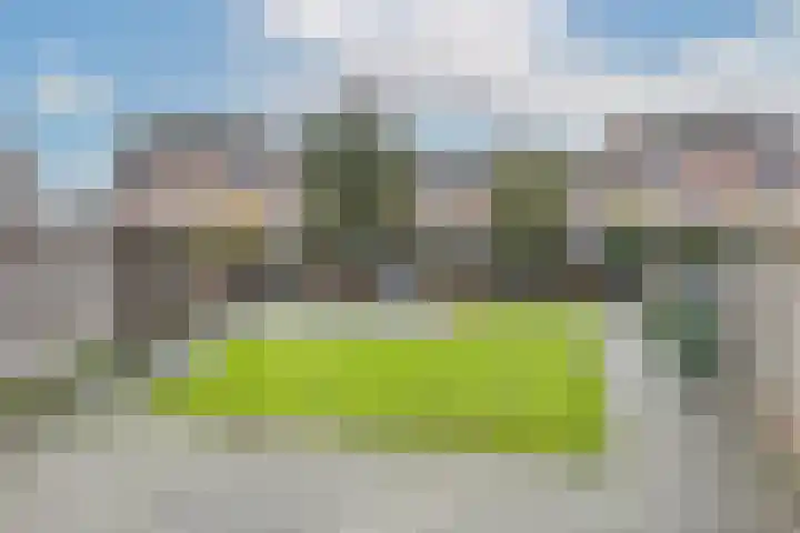 Koperfazant 15 Nieuwegein thumbnail 49