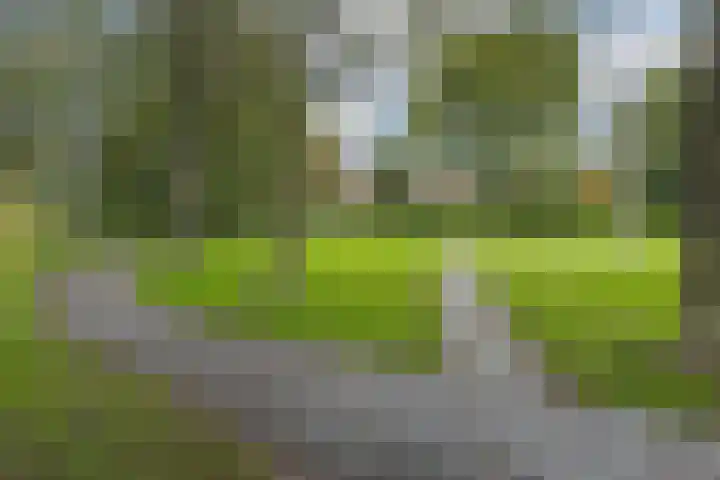 Koperfazant 15 Nieuwegein thumbnail 50