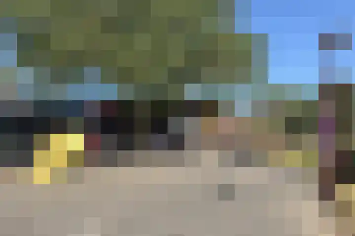 Koperfazant 15 Nieuwegein thumbnail 51
