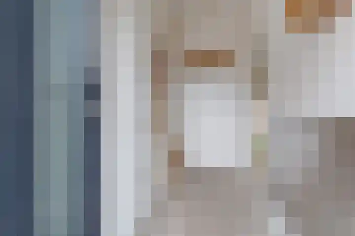 Koperfazant 15 Nieuwegein thumbnail 6