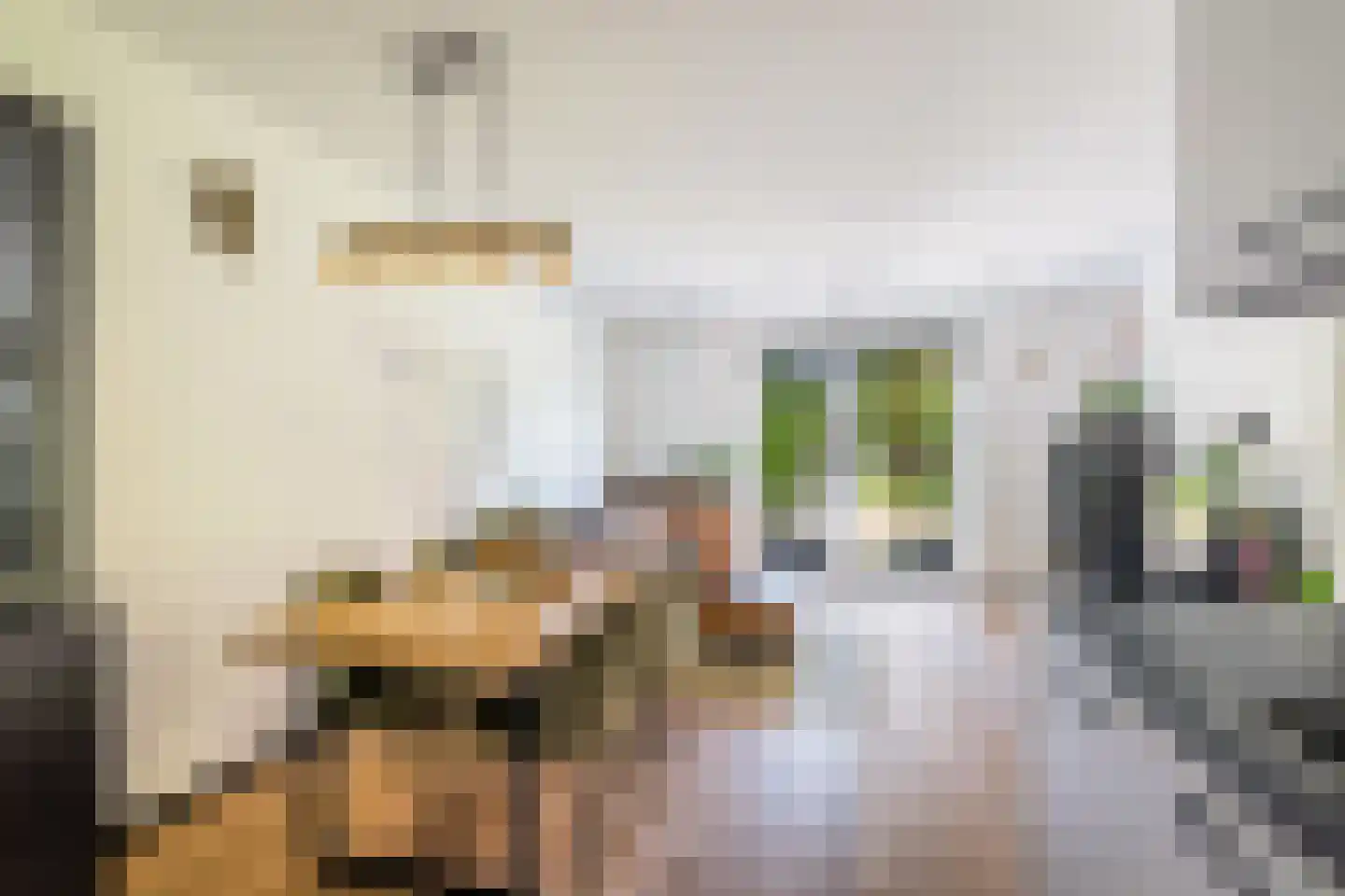 Kopermolen 100 Woerden thumbnail 10