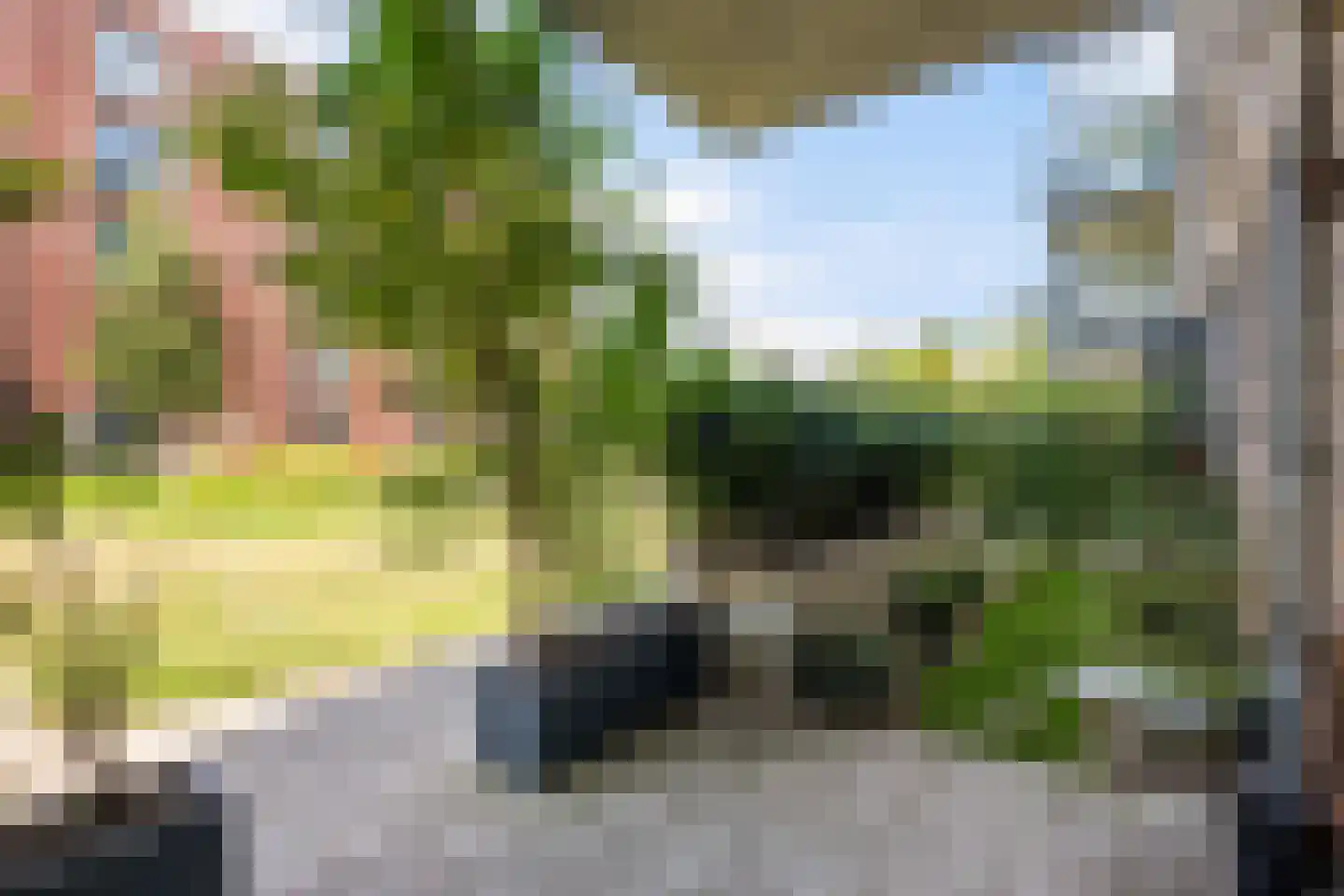 Kopermolen 100 Woerden thumbnail 14