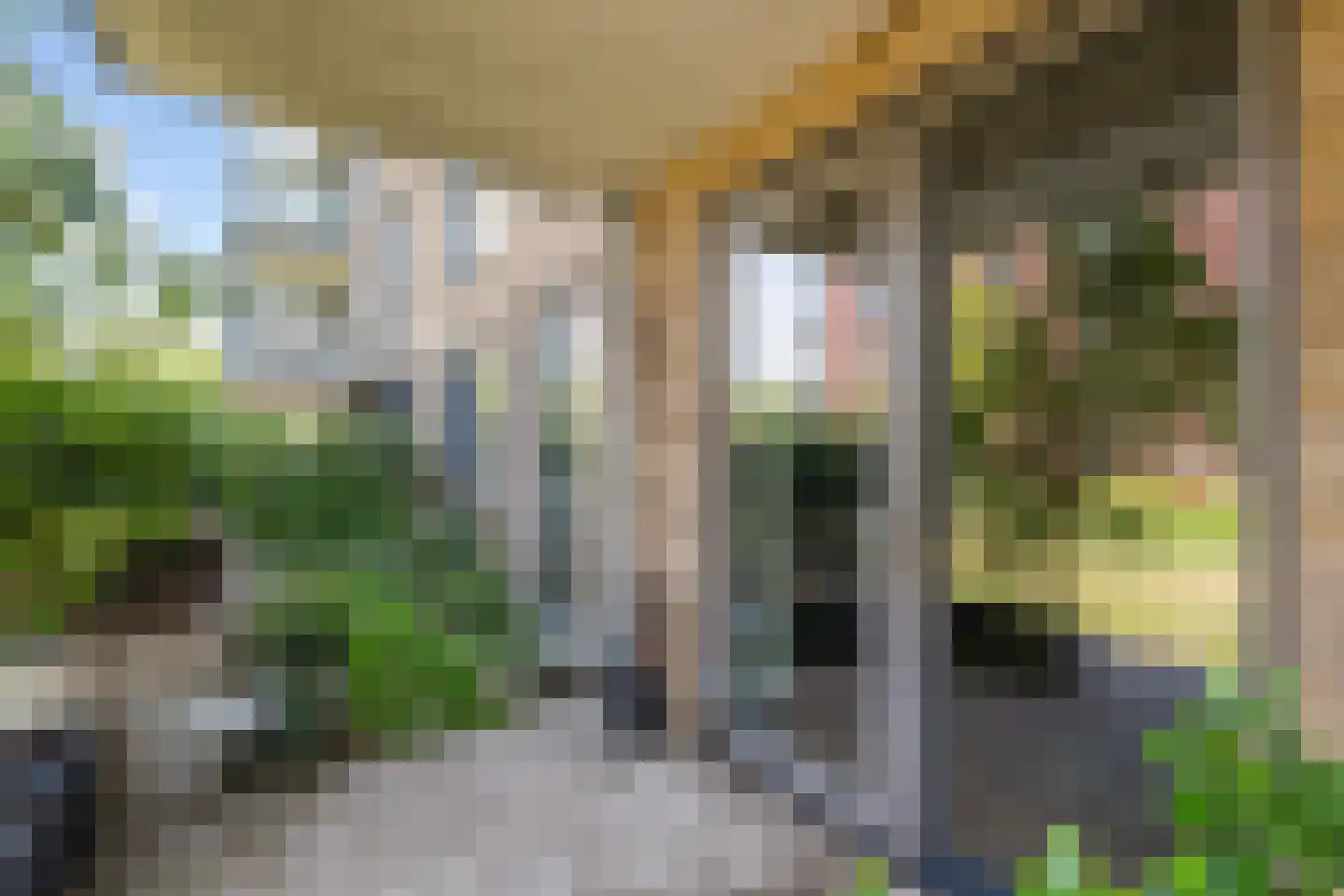 Kopermolen 100 Woerden thumbnail 15