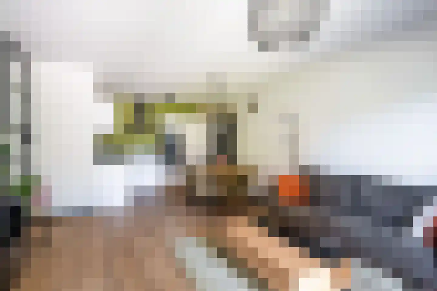 Kopermolen 100 Woerden thumbnail 7