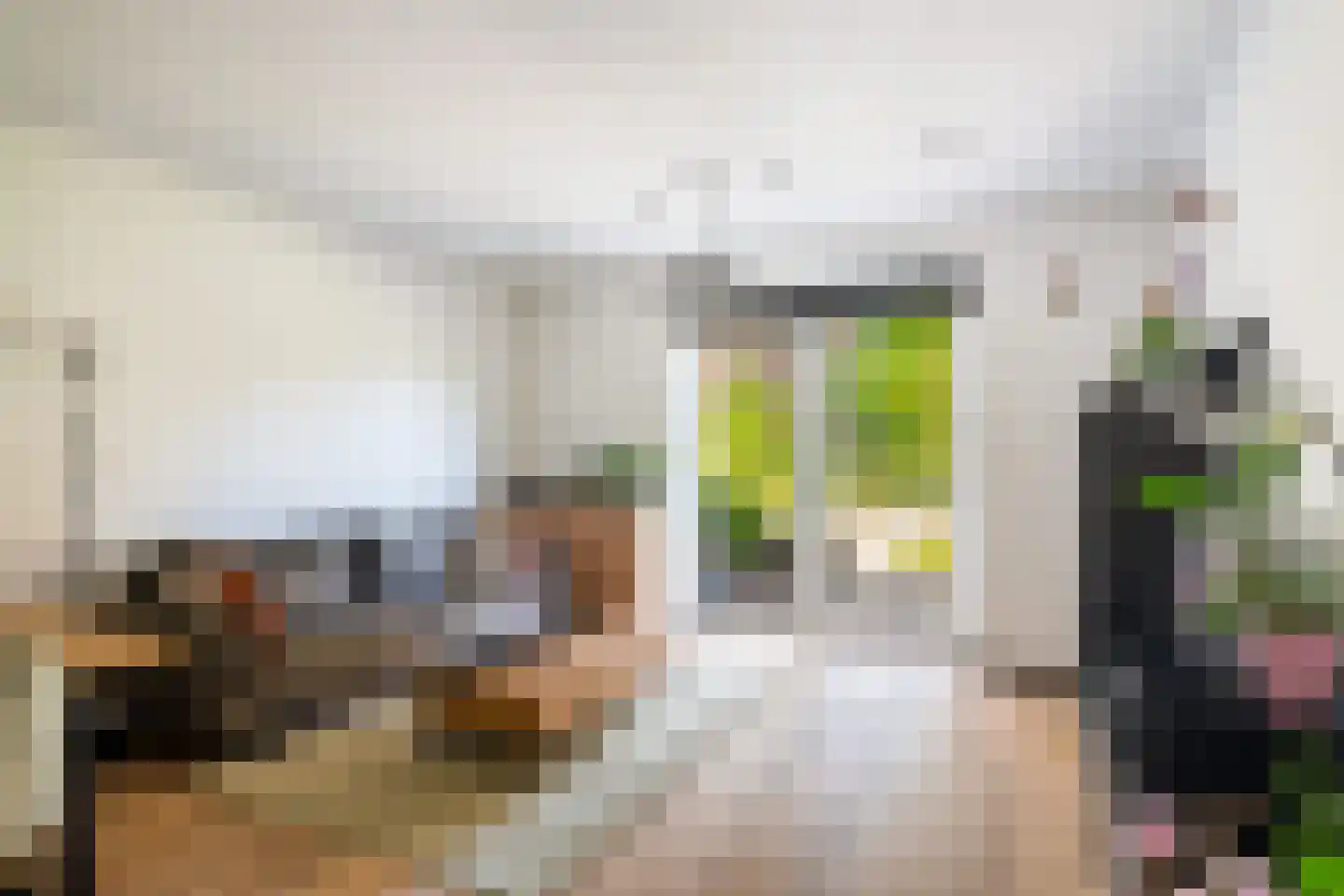 Kopermolen 100 Woerden thumbnail 8