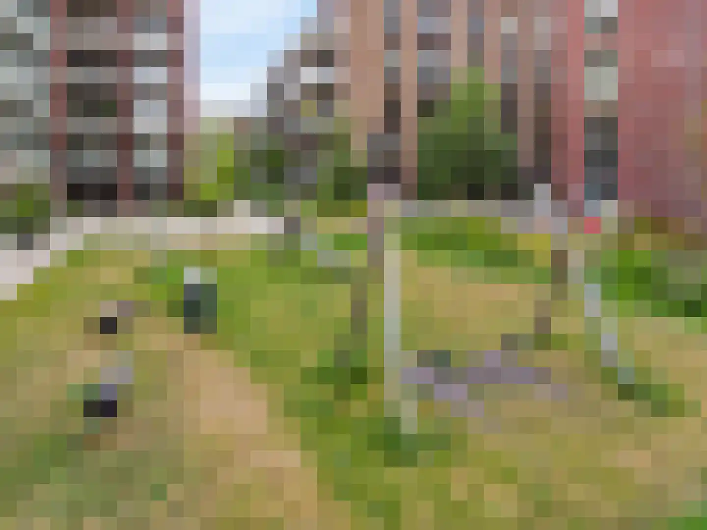 Kopermolen 101 Woerden thumbnail 21