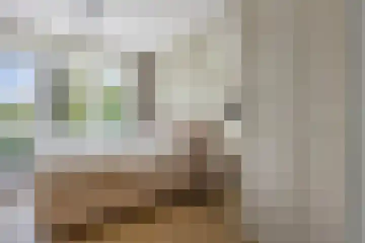 Kopermolen 107 Woerden thumbnail 10