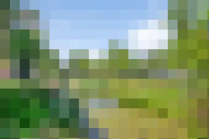 Kopermolen 107 Woerden thumbnail 26