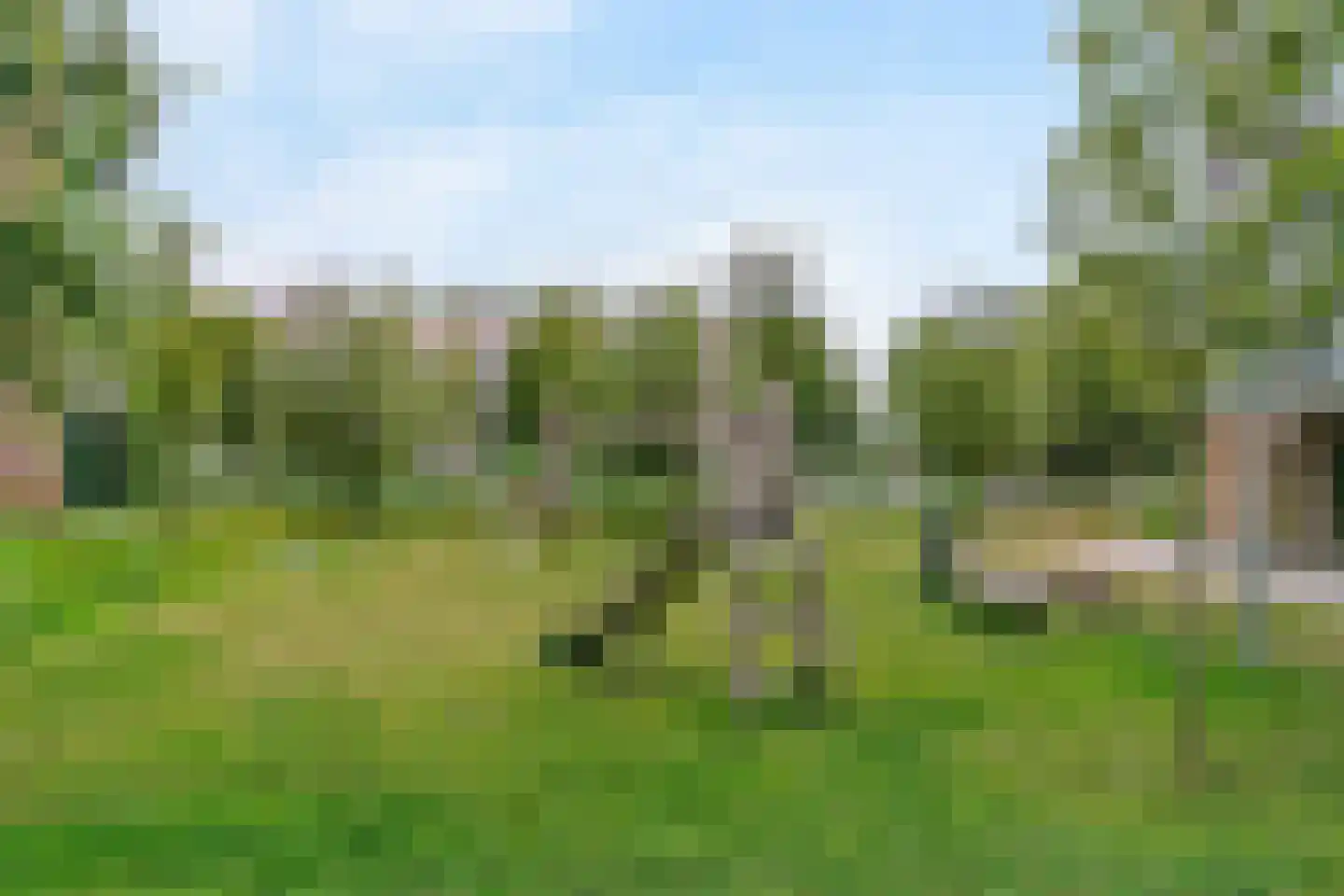 Kopermolen 114 Woerden thumbnail 26