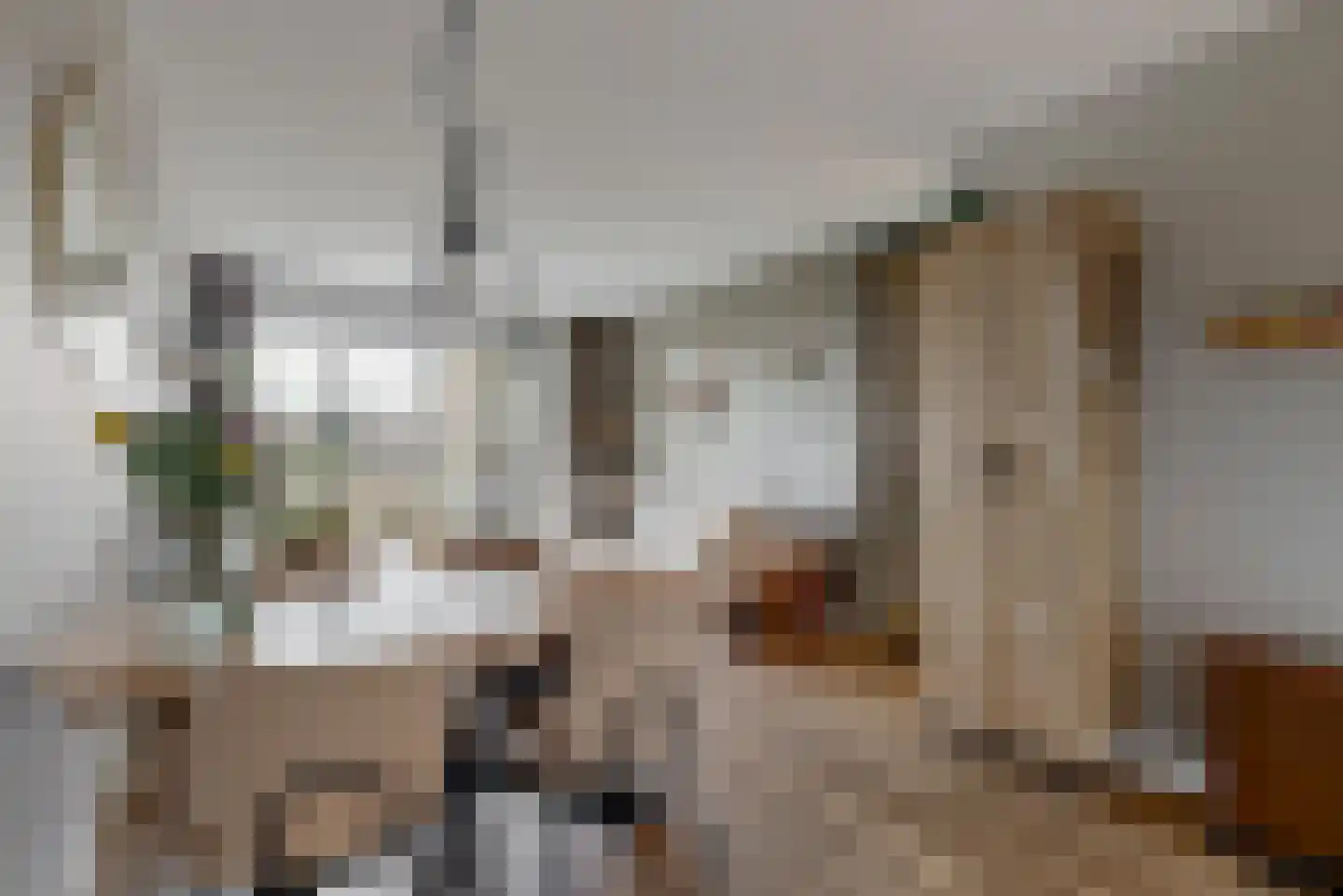 Kopermolen 115 Woerden thumbnail 11