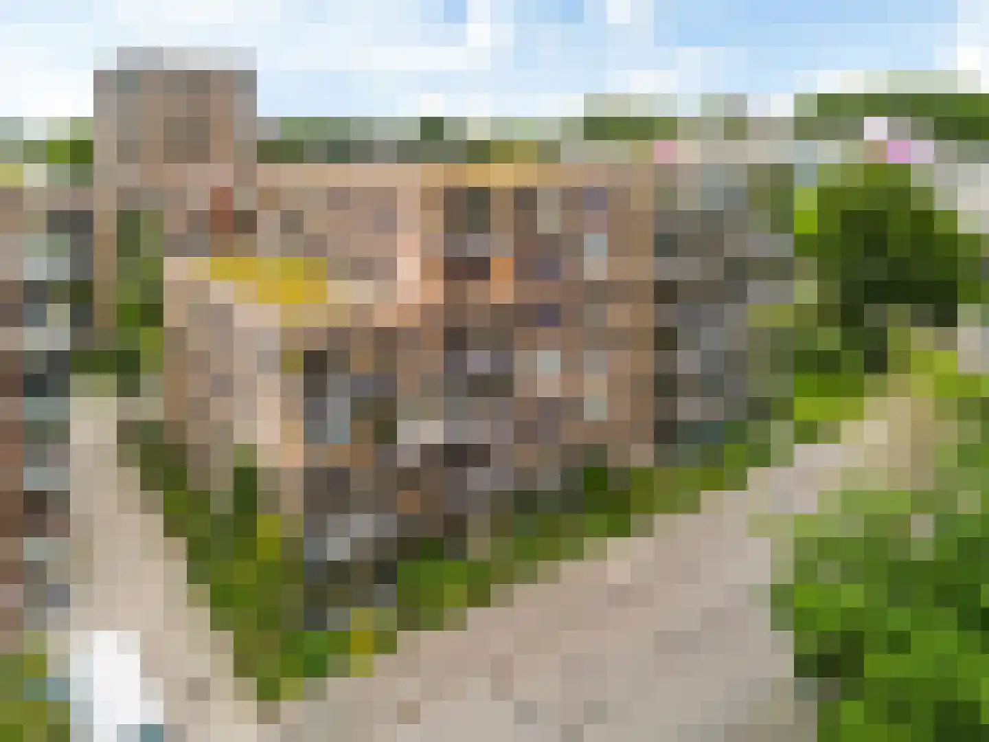 Kopermolen 115 Woerden thumbnail 26