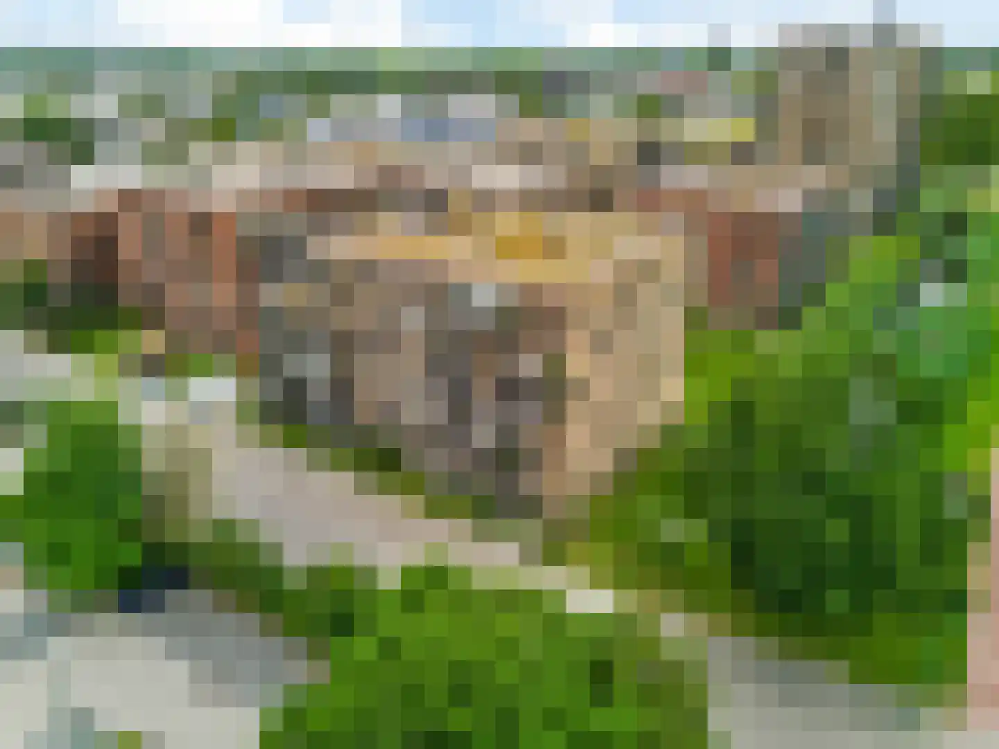 Kopermolen 115 Woerden thumbnail 27