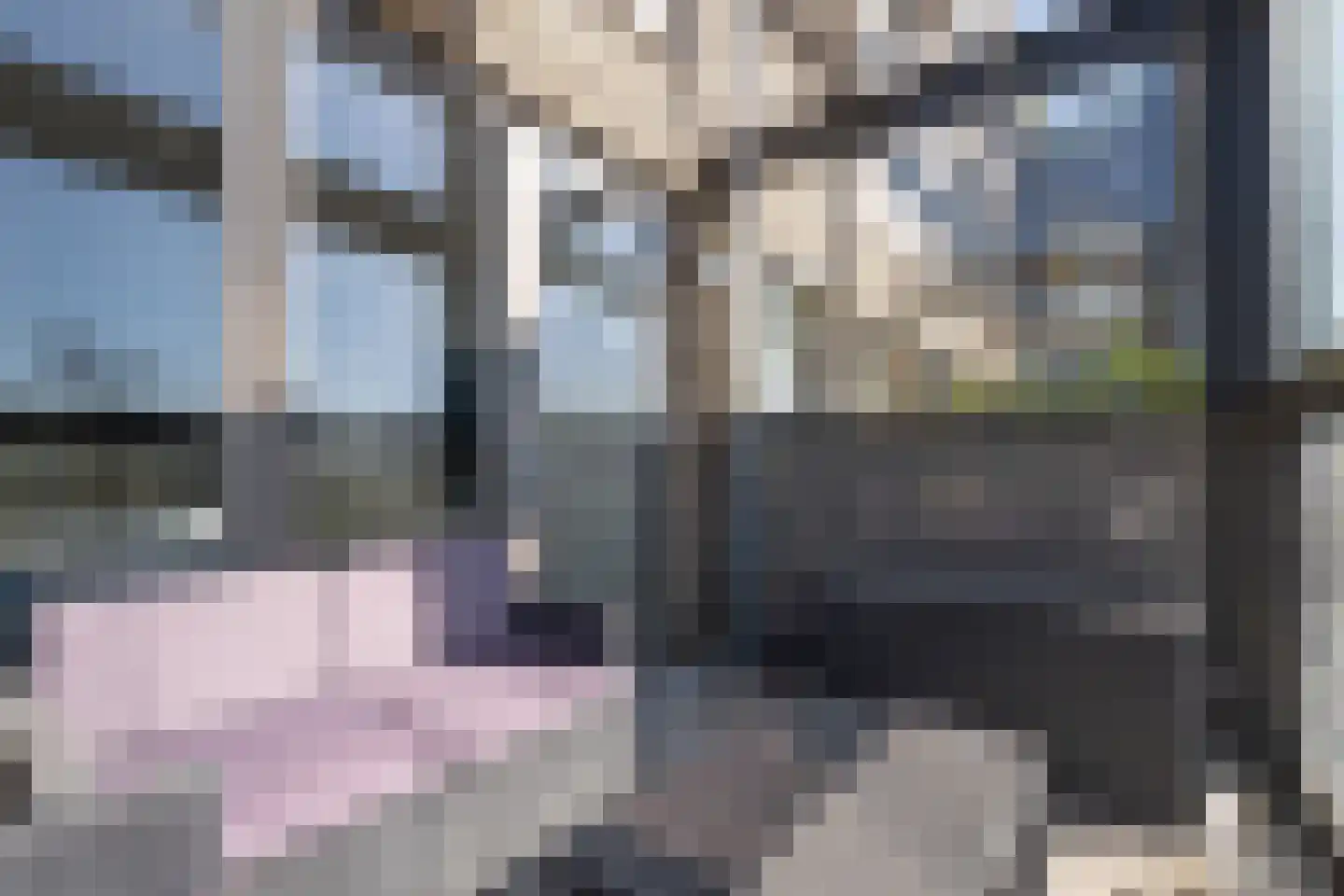 Kopermolen 124 Woerden thumbnail 10