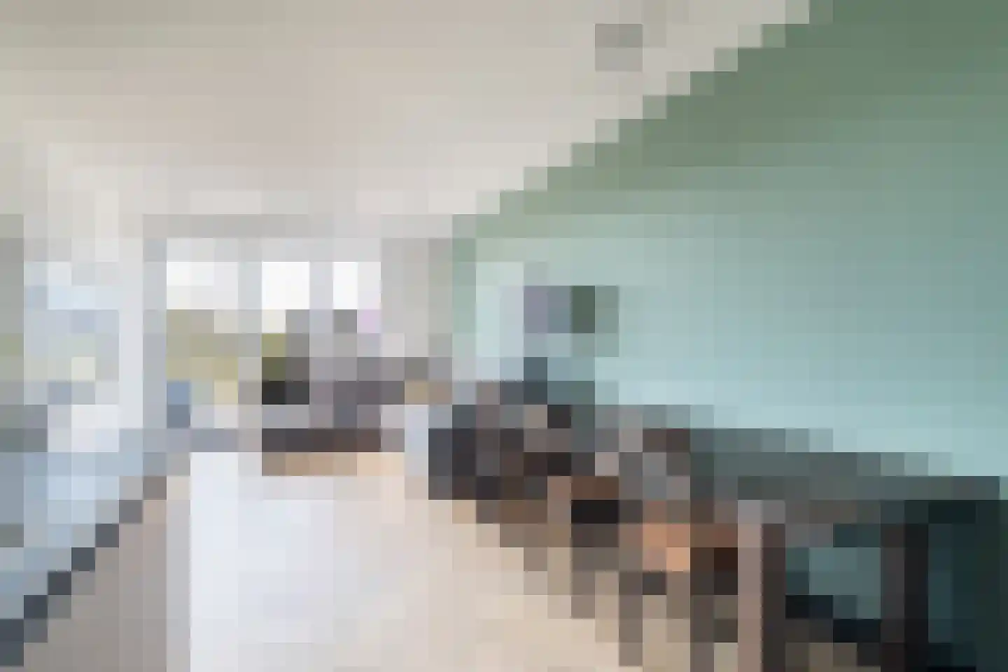 Kopermolen 124 Woerden thumbnail 8