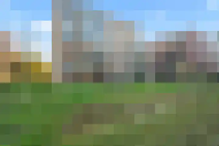 Kopermolen 141 Woerden thumbnail 33
