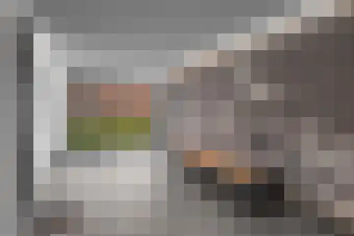 Kopermolen 141 Woerden thumbnail 5