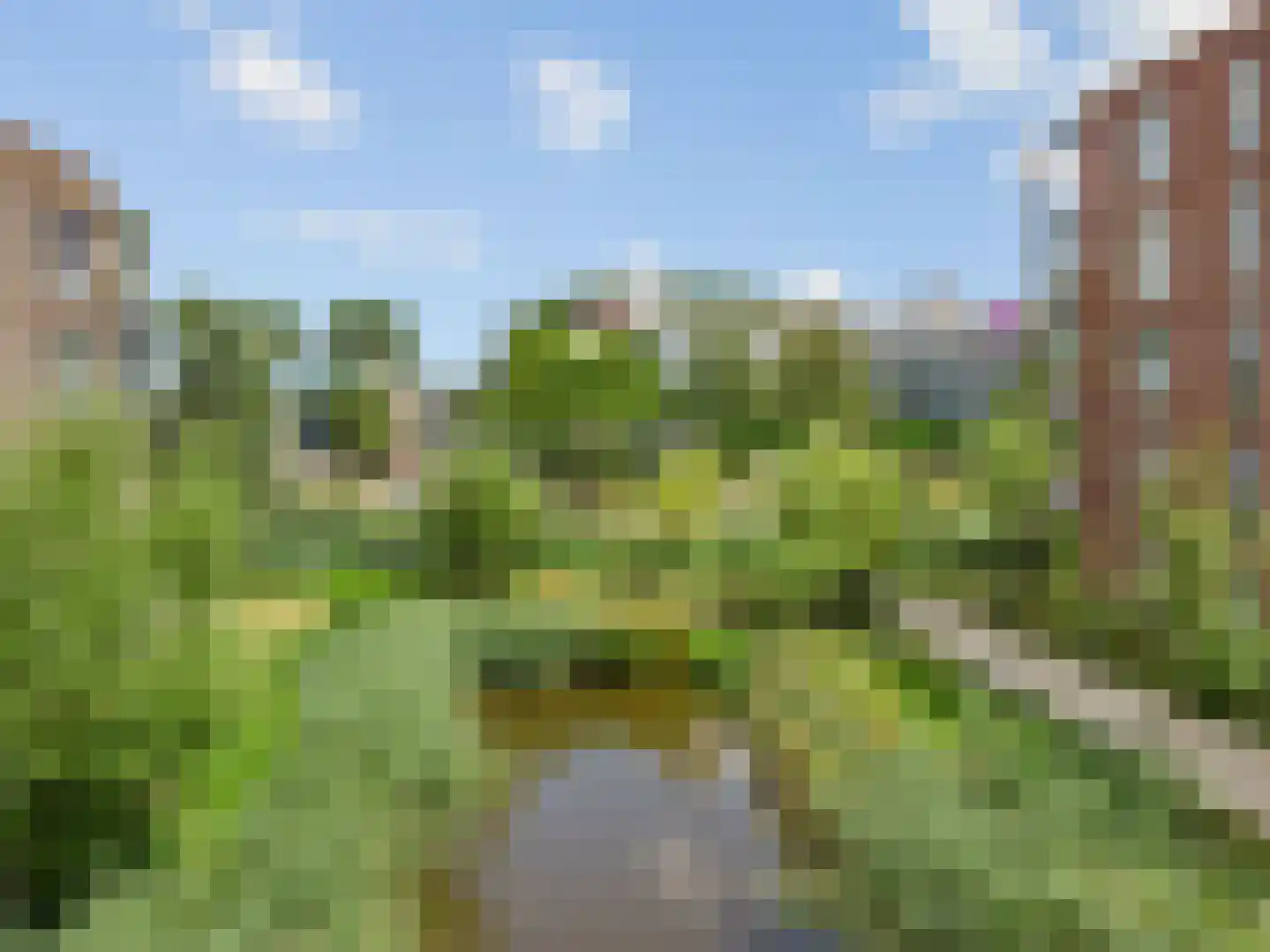 Kopermolen 224 Woerden thumbnail 26