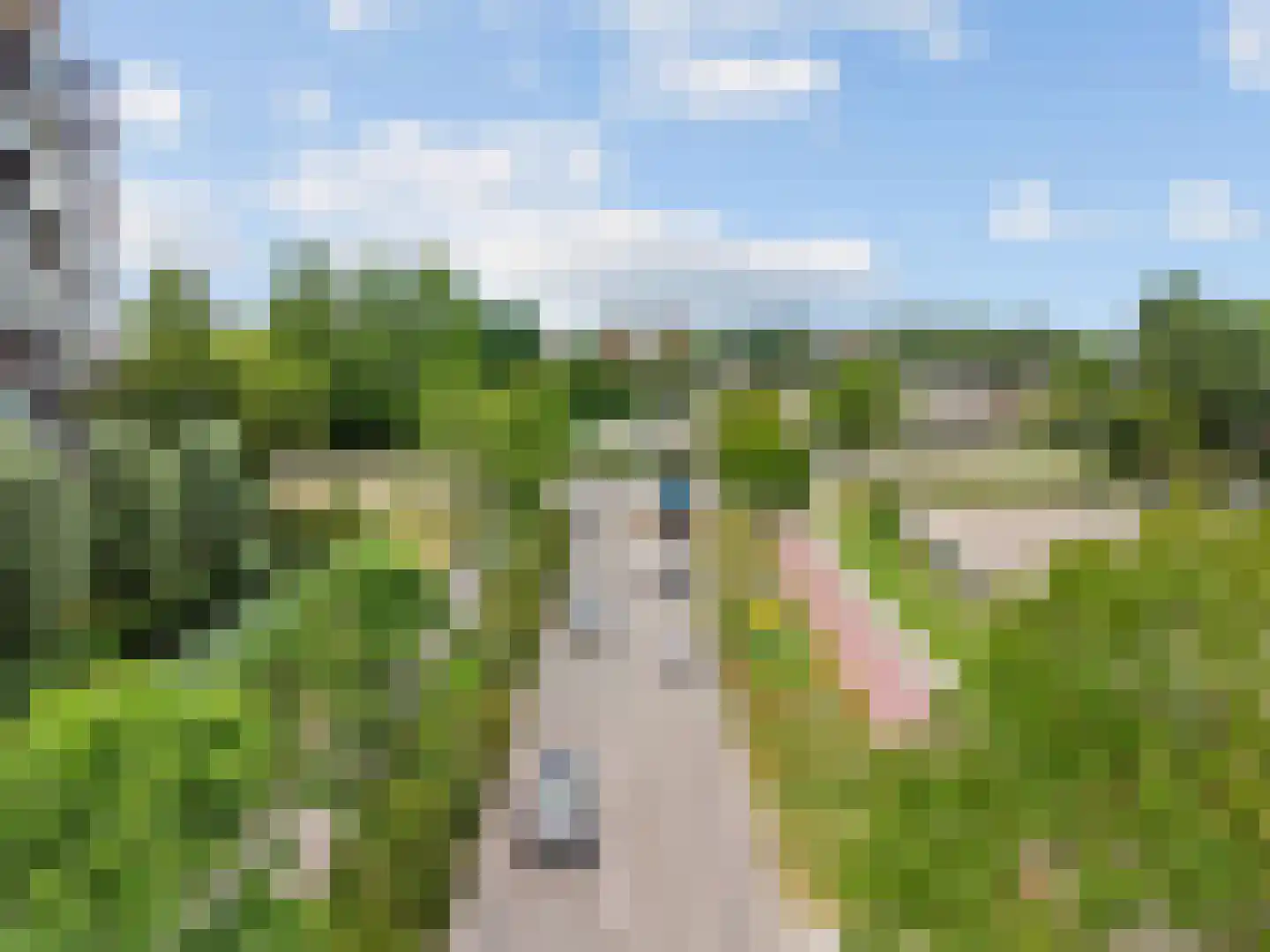 Kopermolen 224 Woerden thumbnail 28