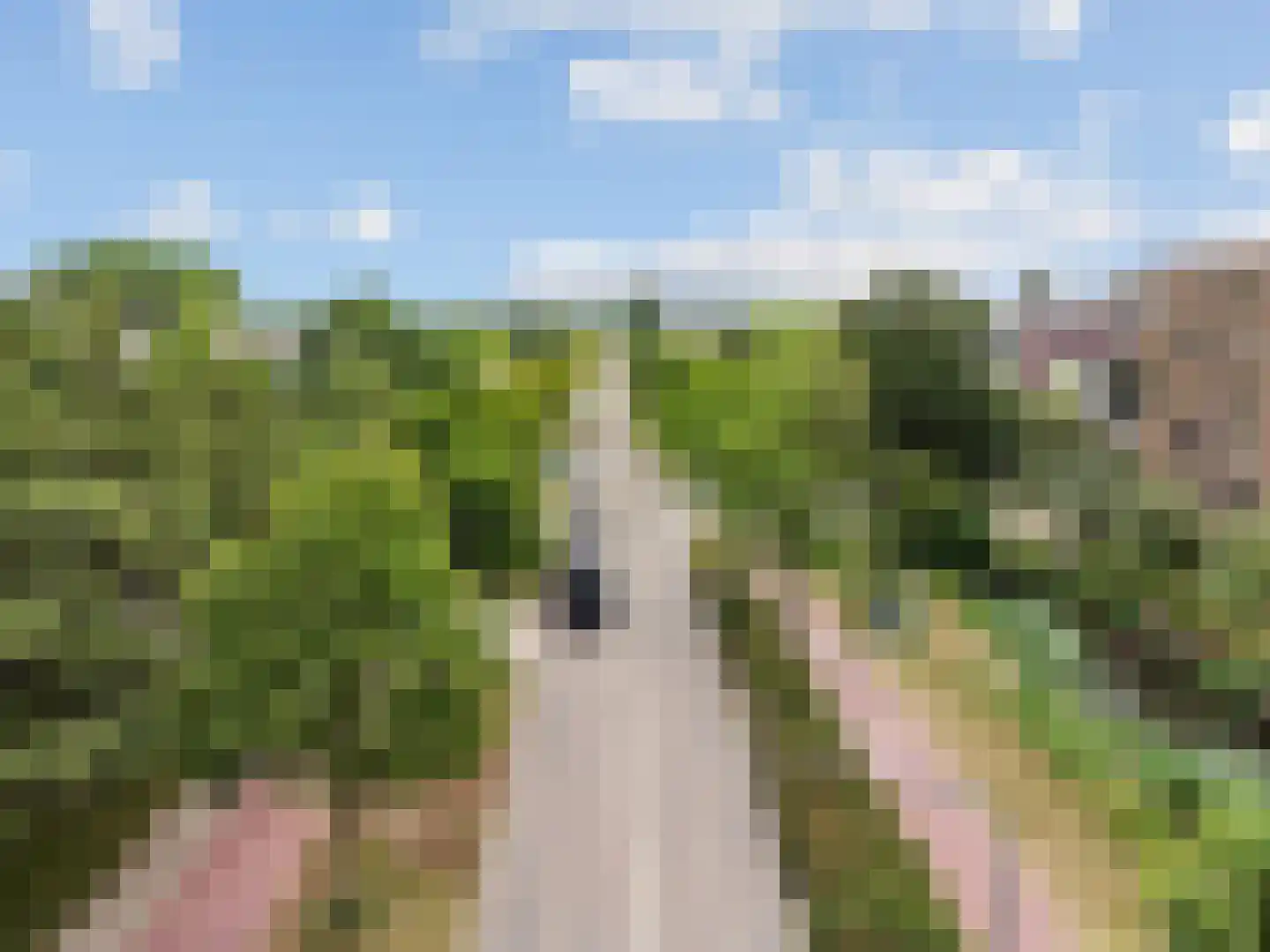 Kopermolen 224 Woerden thumbnail 29