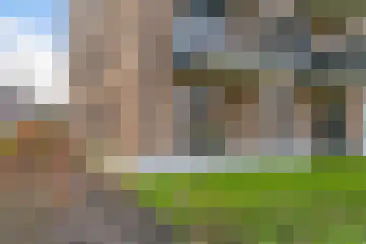 Kopermolen 225 Woerden thumbnail 22