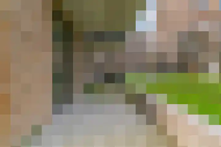 Kopermolen 225 Woerden thumbnail 24