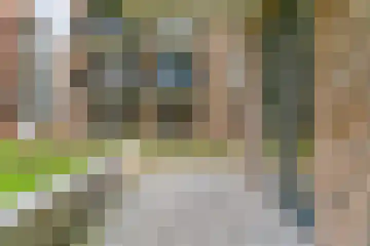 Kopermolen 225 Woerden thumbnail 25