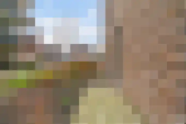 Kopermolen 225 Woerden thumbnail 26
