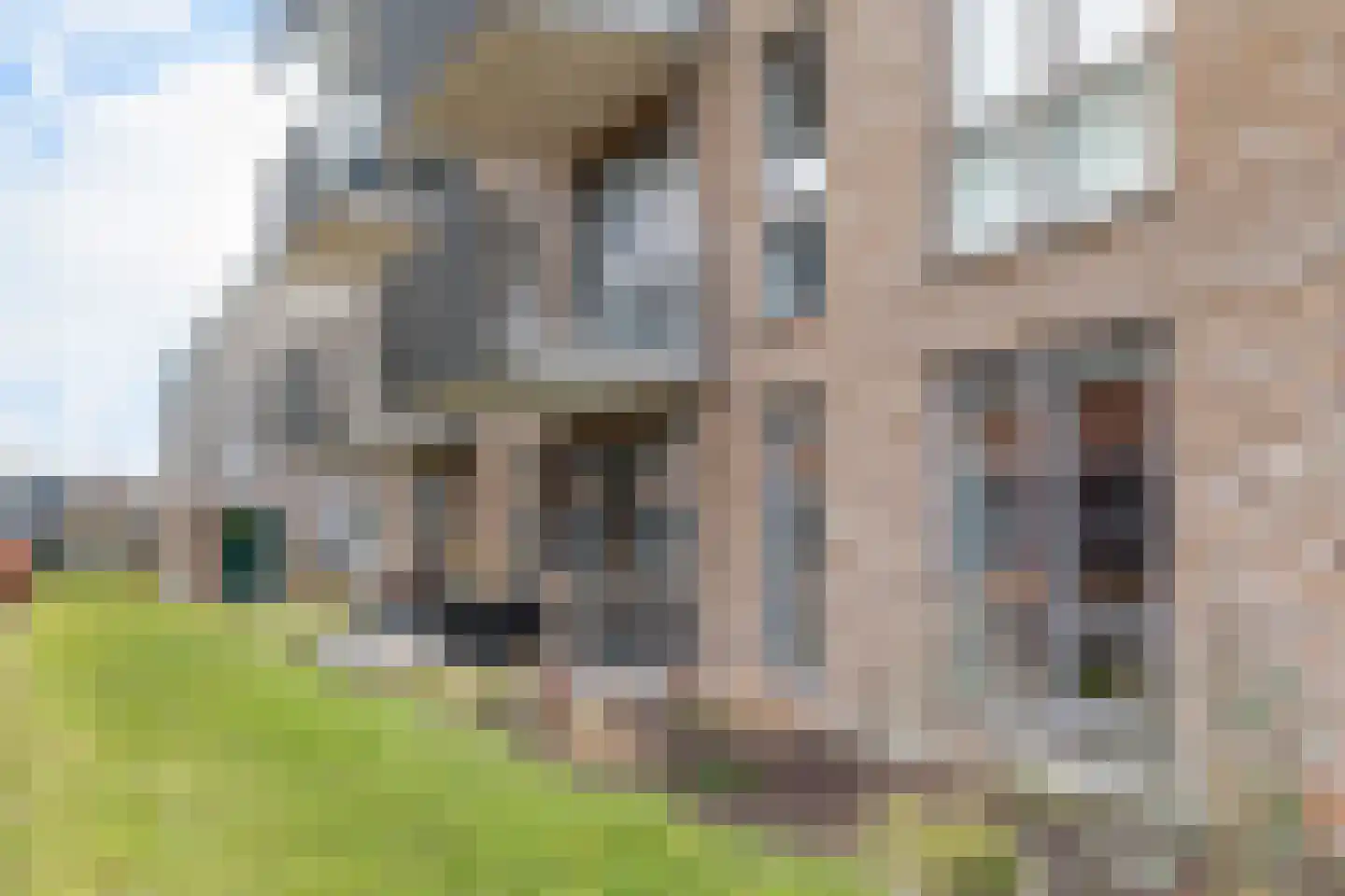 Kopermolen 228 Woerden thumbnail 26