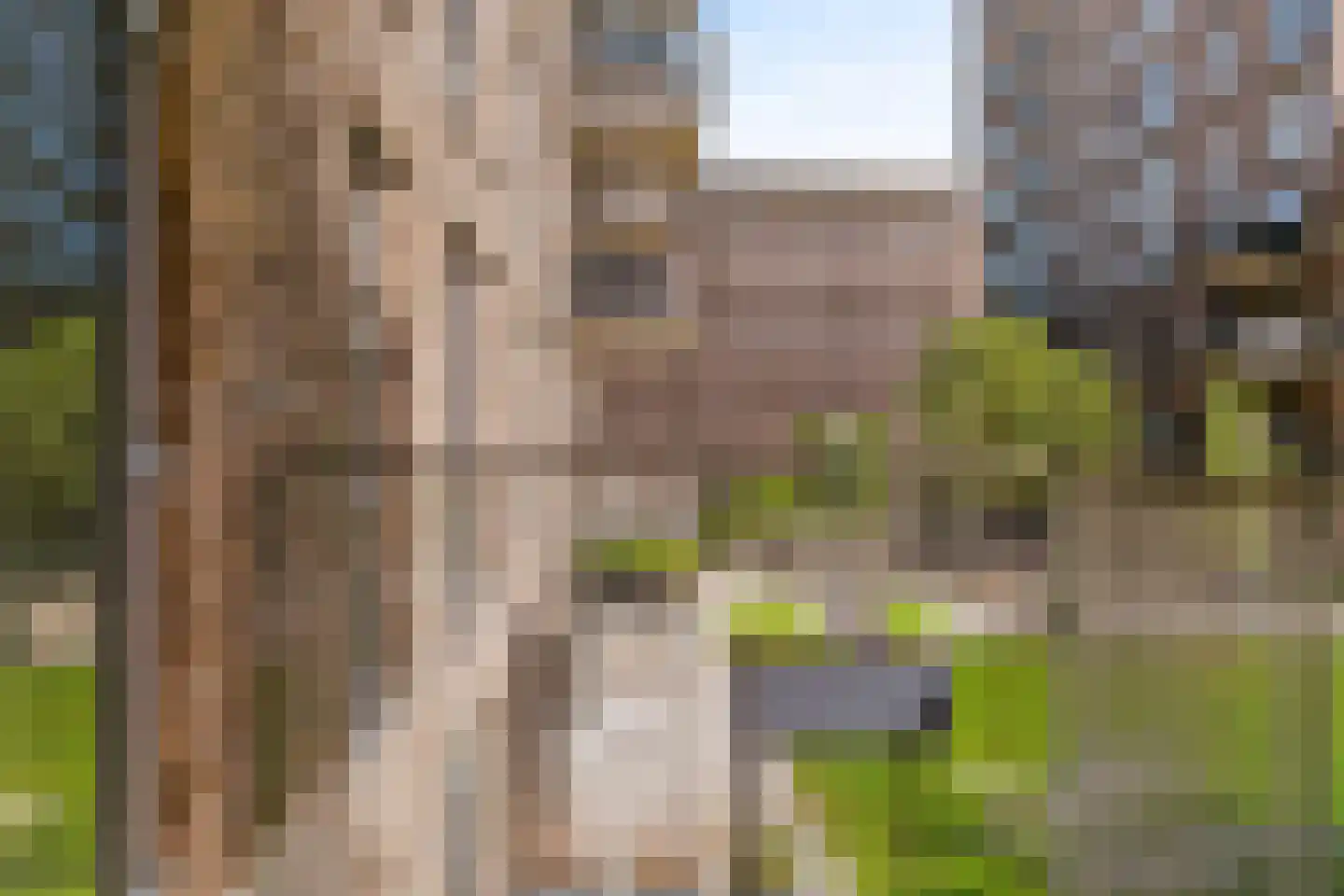 Kopermolen 236 Woerden thumbnail 27