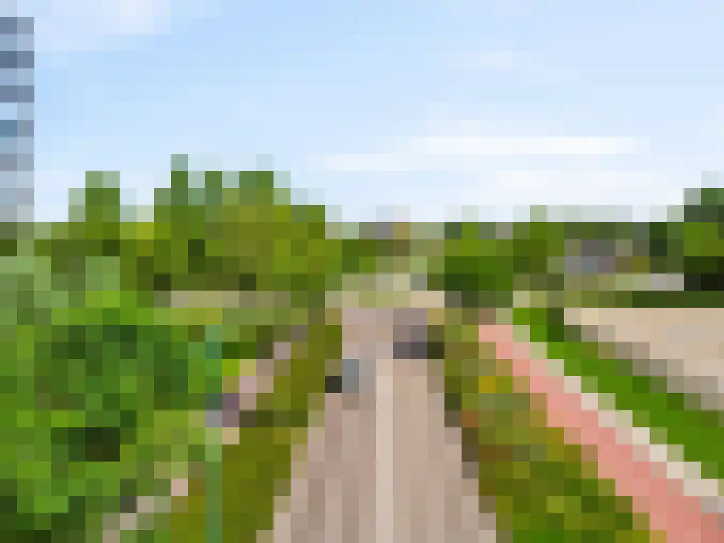 Kopermolen 236 Woerden thumbnail 31
