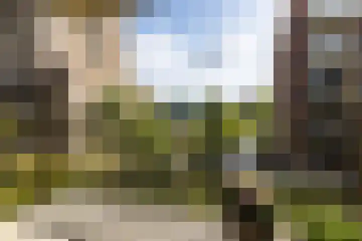 Kopermolen 237 Woerden thumbnail 15