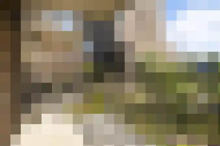 Kopermolen 237 Woerden thumbnail 16