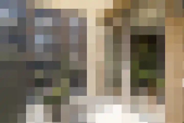 Kopermolen 237 Woerden thumbnail 17