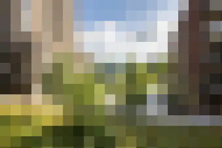 Kopermolen 237 Woerden thumbnail 18