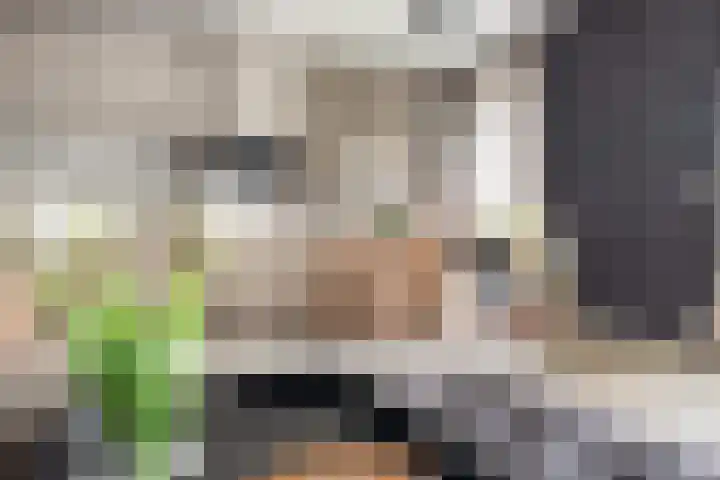 Kopermolen 237 Woerden thumbnail 19