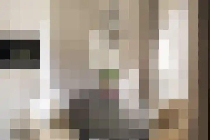Kopermolen 237 Woerden thumbnail 21