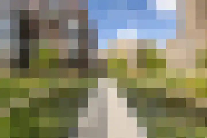 Kopermolen 237 Woerden thumbnail 33
