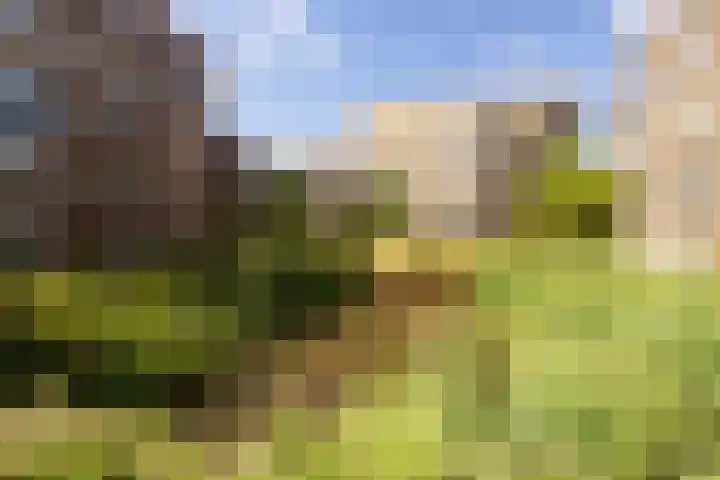 Kopermolen 237 Woerden thumbnail 34