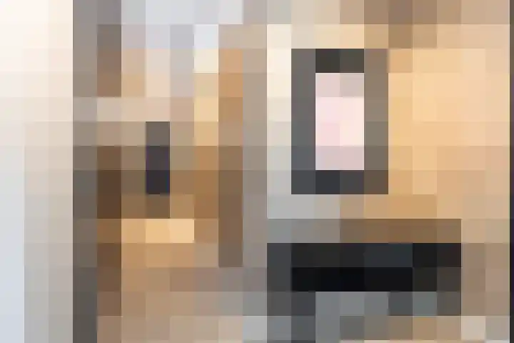 Kopermolen 237 Woerden thumbnail 6