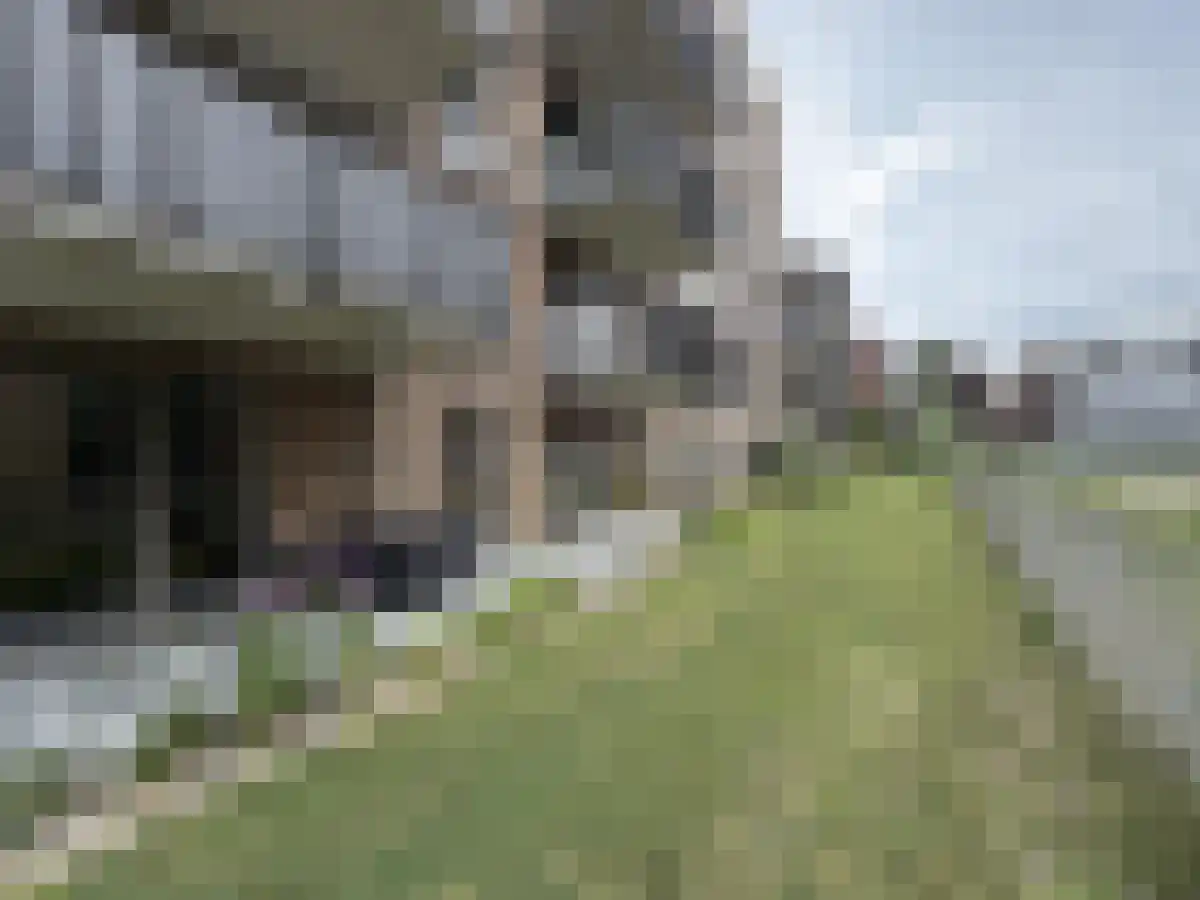 Kopermolen 242 Woerden thumbnail 6