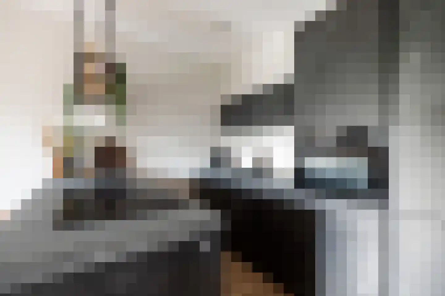 Kopermolen 244 Woerden thumbnail 15