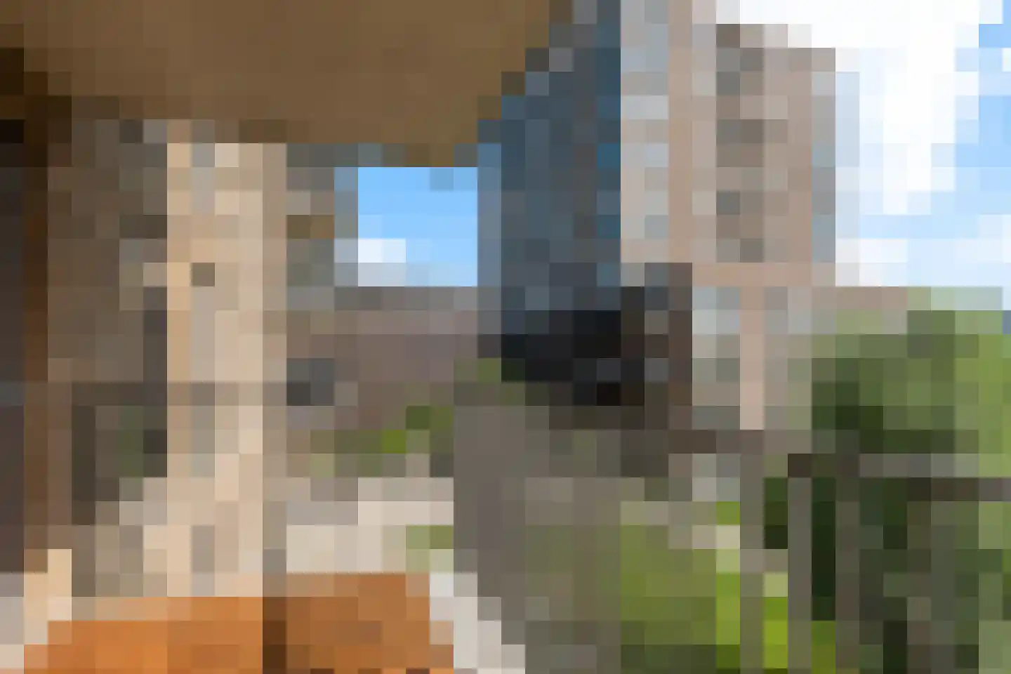 Kopermolen 244 Woerden thumbnail 21