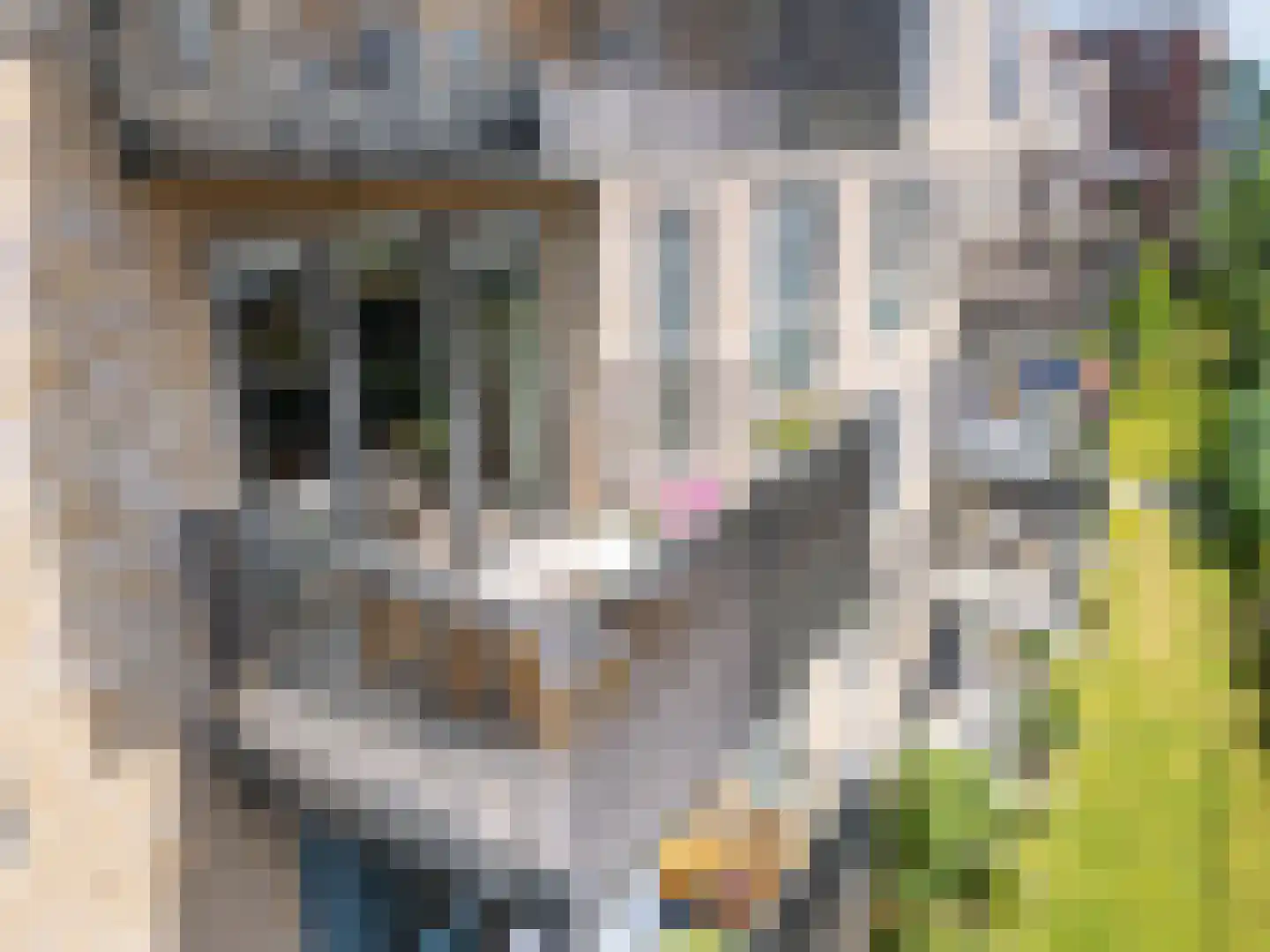 Kopermolen 248 Woerden thumbnail 20