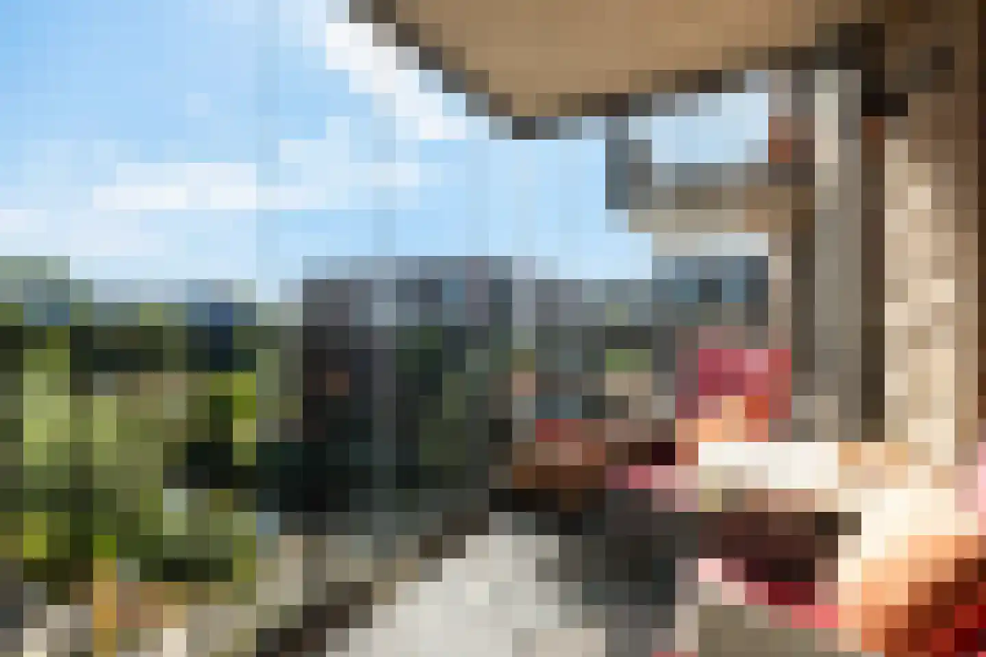Kopermolen 250 Woerden thumbnail 15