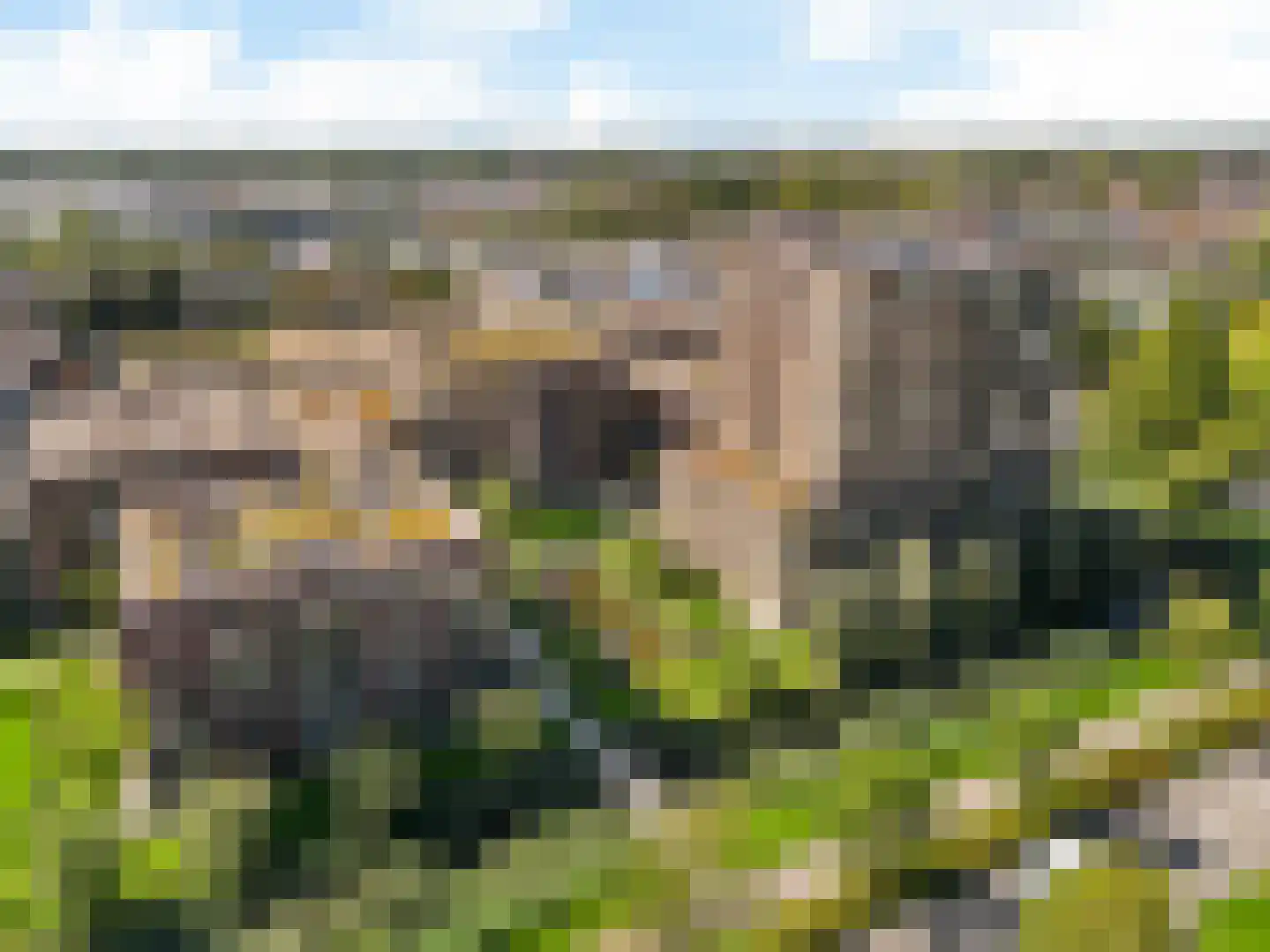 Kopermolen 263 Woerden thumbnail 13