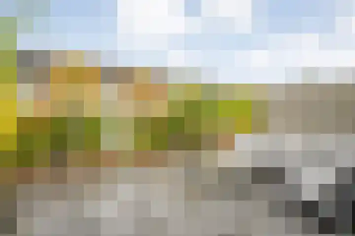 Kopermolen 49 Zwolle thumbnail 4