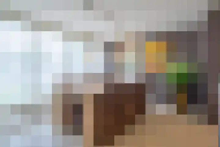 Kopermolenring 11 Lochem thumbnail 8