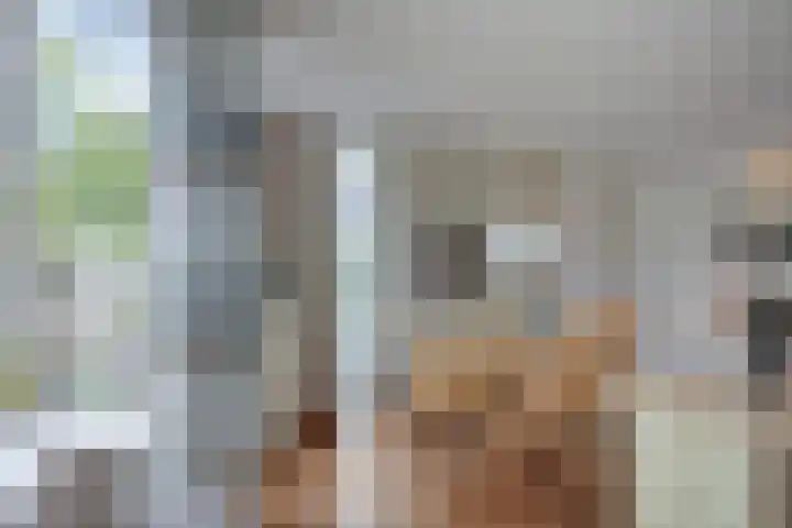 Kopermolenring 25 Lochem thumbnail 15